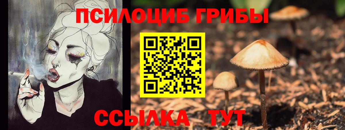 Псилоцибиновые грибы Cubensis Азнакаево