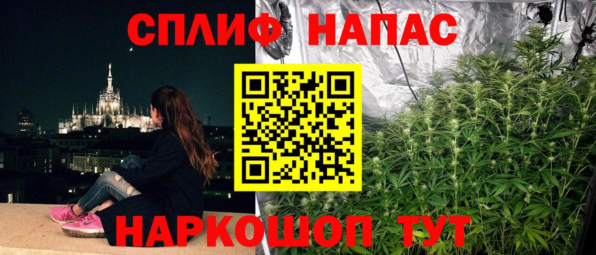 Каннабис план Азнакаево